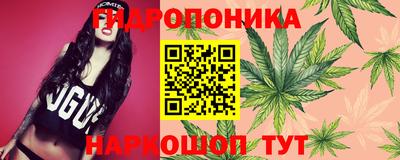 PSILOCYBIN Бузулук
