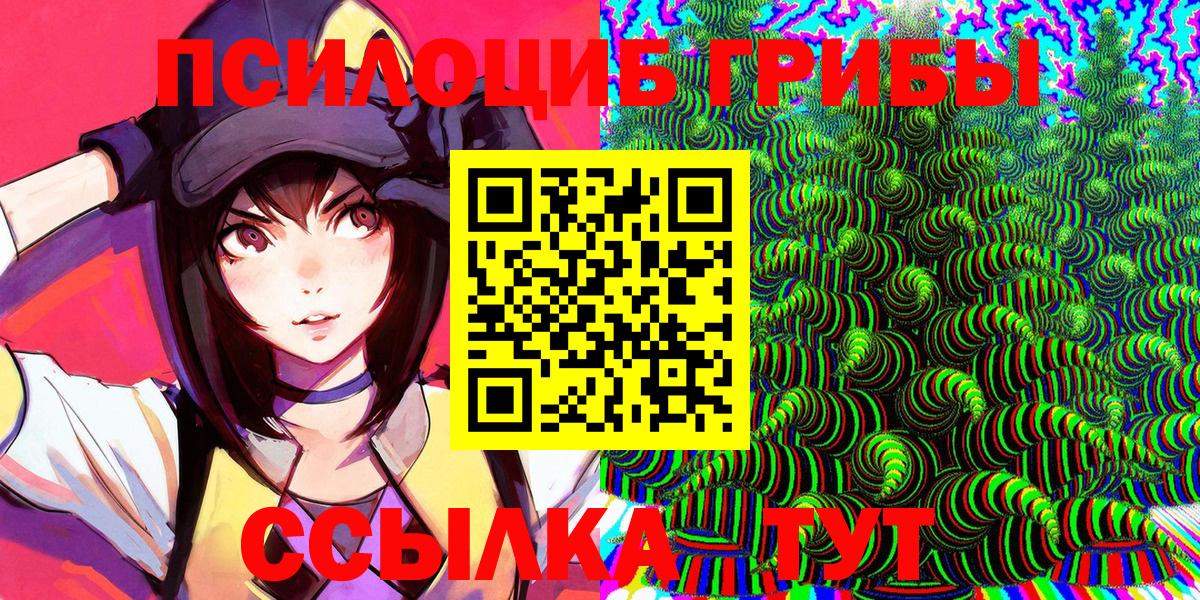 Псилоцибиновые грибы Psilocybe Сочи