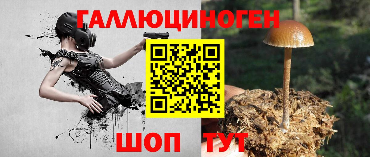 Сочи  Псилоцибиновые грибы мицелий  Вход с VPN 